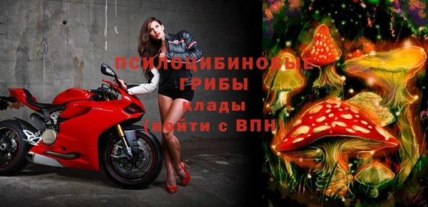ПСИЛОЦИБИНОВЫЕ ГРИБЫ Беломорск